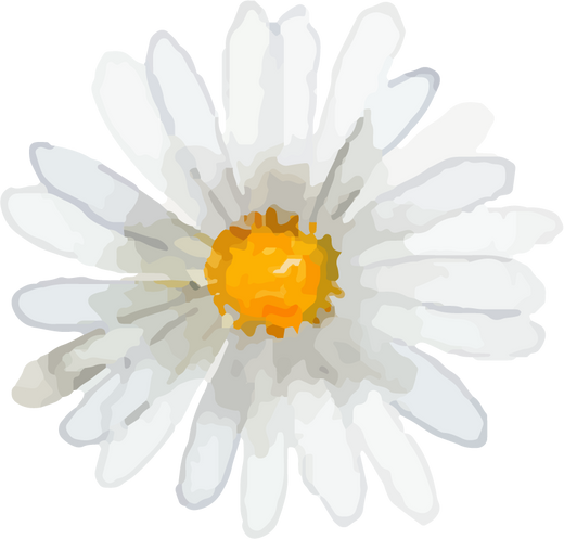 Watercolor flower